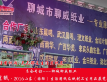 2016山東展會(huì)專訪聊城聊威紙業(yè)李總 2016山東展會(huì)專訪聊城聊威紙業(yè)李總