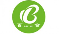 山東百合衛生用品有限公司