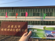 遛紙小分隊在石家莊宣傳西安展會 (22)