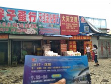 遛紙小分隊在遼寧本溪宣傳沈陽展會 (8)